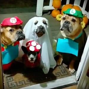 Meet your Posher, Catherine